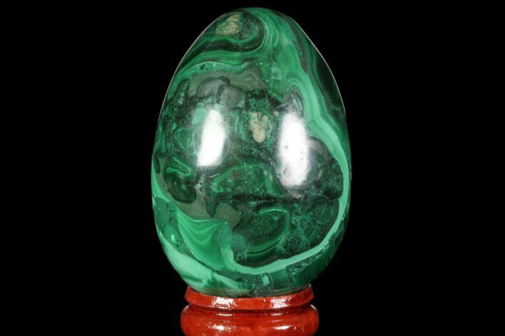 Stunning Polished Malachite Egg - Congo #89645